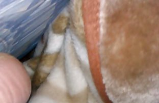 πορνό σεξ Νεαρή γκόμενα έδειξε μικρά βυζιά κάτω από το νερό