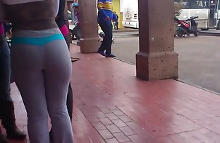 πορνό σεξ Ο σιβοειδής κούρβα βογγά δυνατά από το στοματικό χάδι